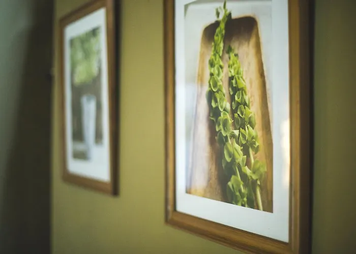 Caserio Da Castineira * Sas do Monte